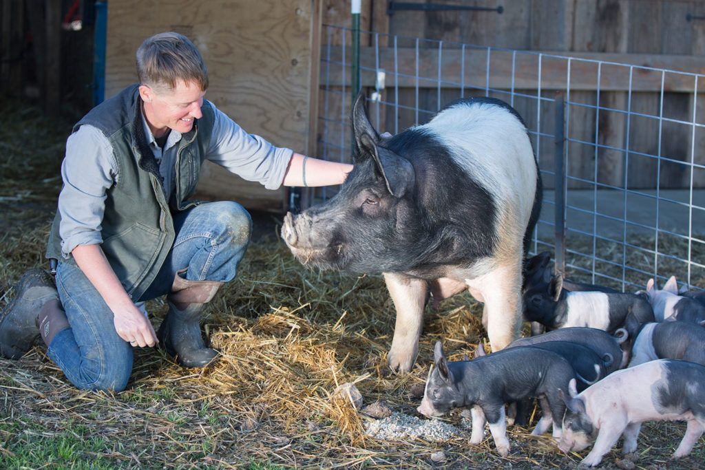 Farmer Dede Boie of Root Down Farm with a mother pig and piglets