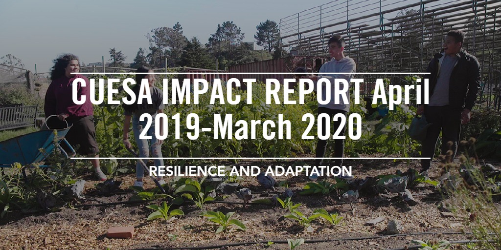 CUESA IMPACT REPORT April 2019-March 2020