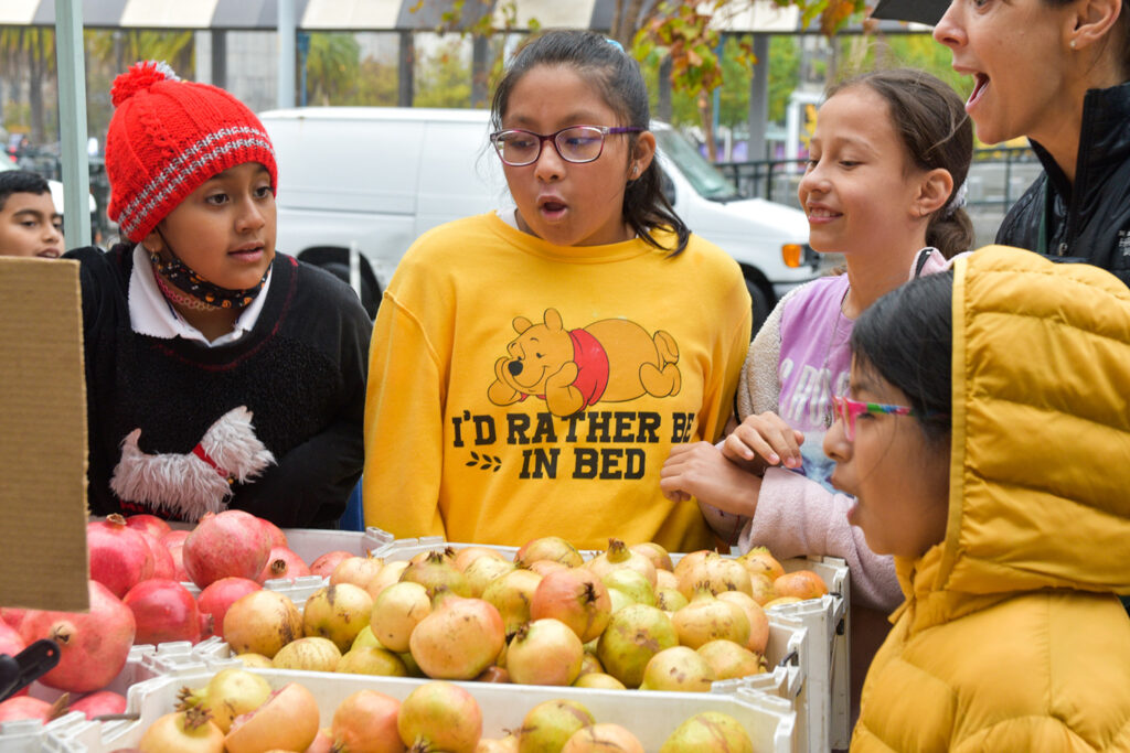 A group of Foodwise Kids looking at pomegranates at the farmers market
